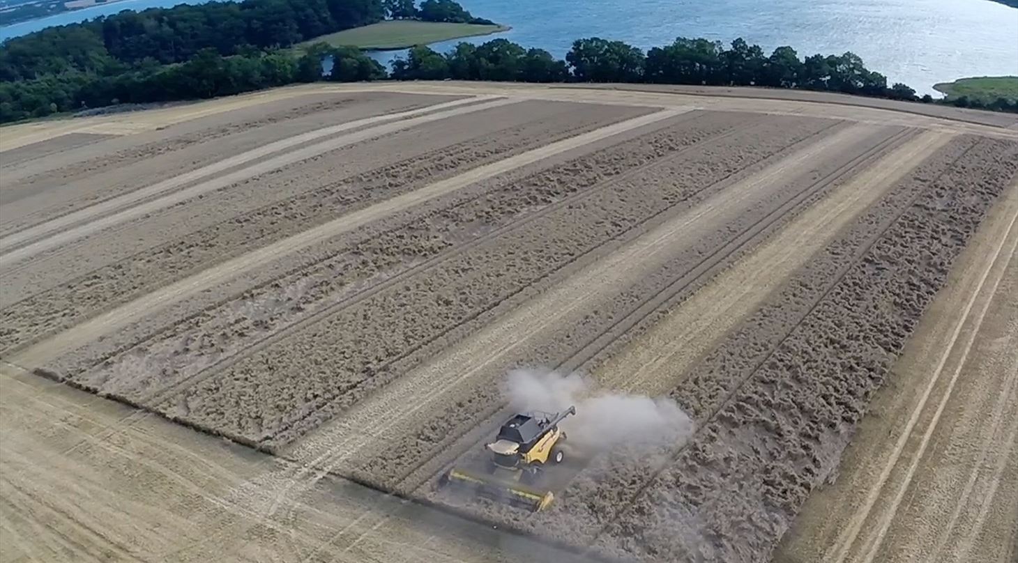 OnFarm høst vinterhvede